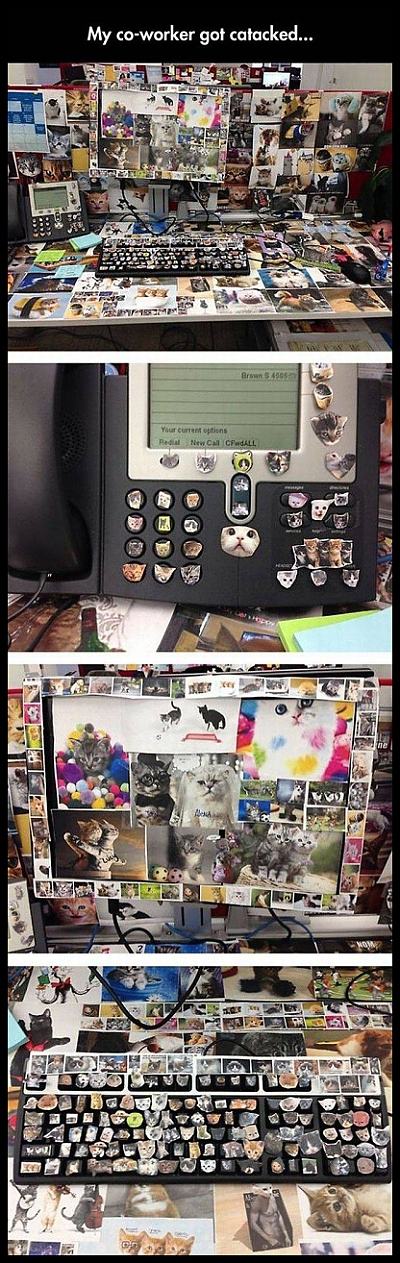 Obrázek MyCo-worker