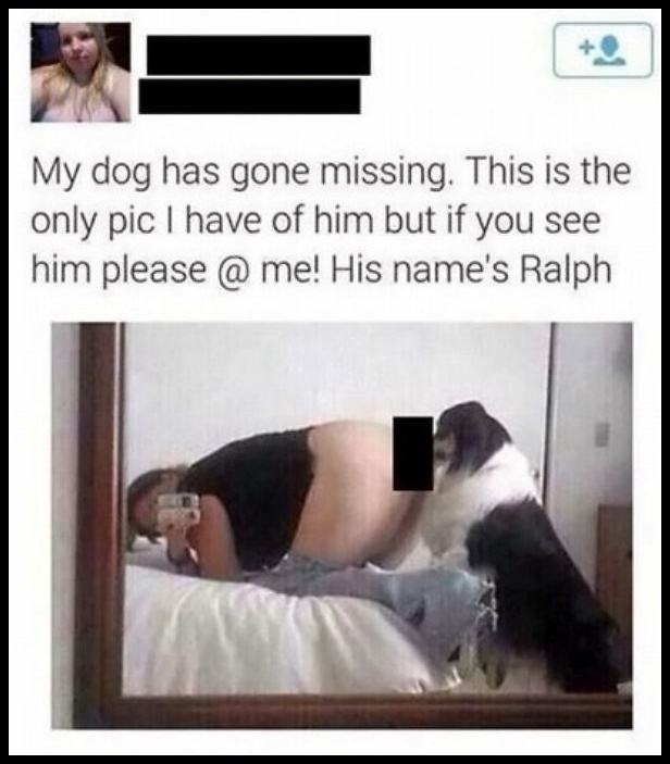 Obrázek My&nbsp;Dog&nbsp;Is&nbsp;Missing