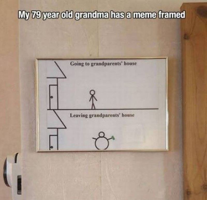 Obrázek My Grandma Loves MemeS