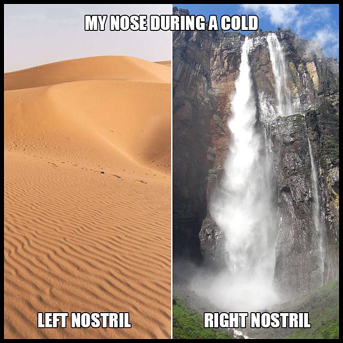 Obrázek My Nose During Cold  