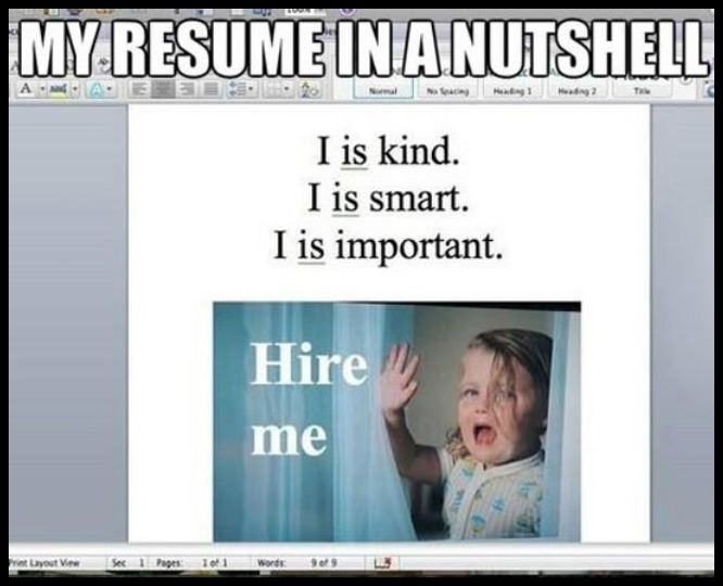 Obrázek My Resume In A Nutshell