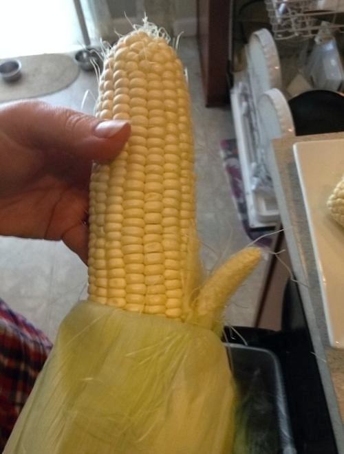 Obrázek My corn has a penis