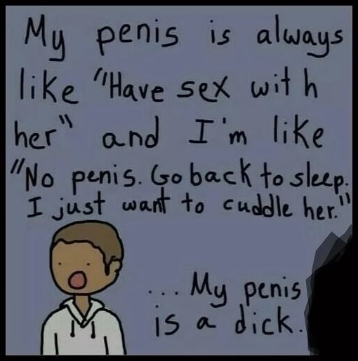 Obrázek My penis is a dick