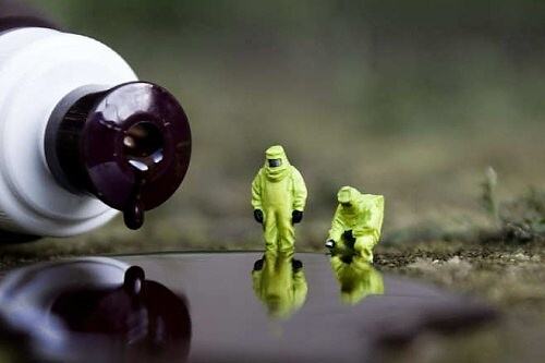 Obrázek Mysterious Little People Spotted Again7