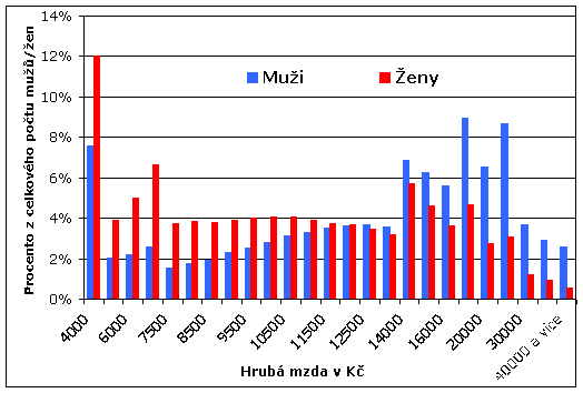 Obrázek Mzdy-CR-2002