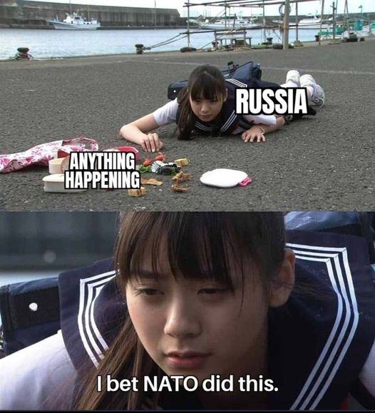 Obrázek NATO did this