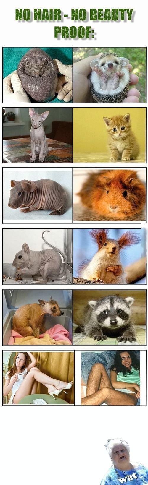 Obrázek NO-hair  