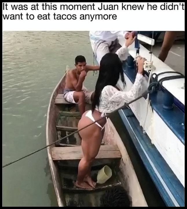 Obrázek NO More Tacos 