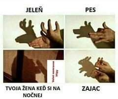 Obrázek Na nocni