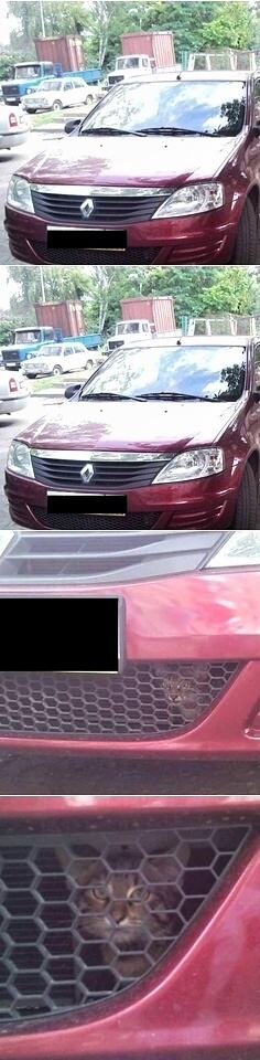 Obrázek Najdi macku