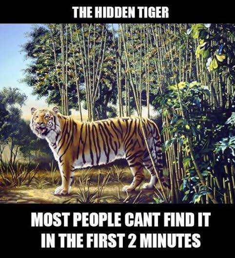 Obrázek Najdi tygra