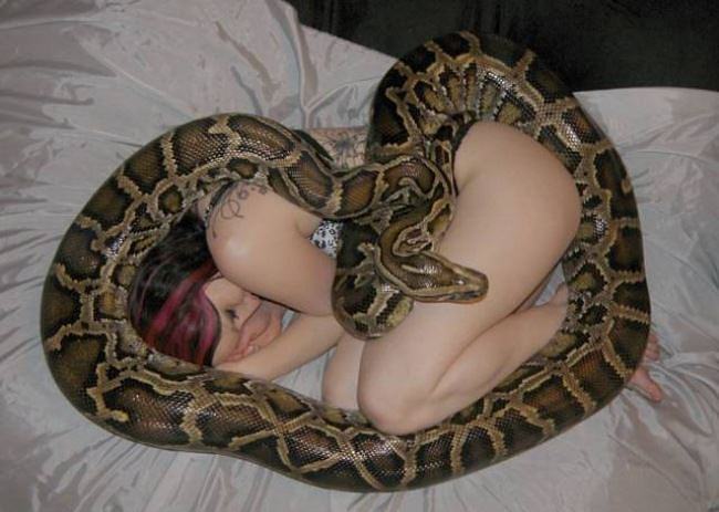 Obrázek Napping With My PET Snake