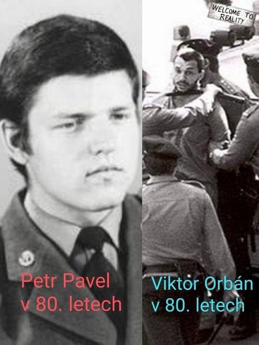 Obrázek Narxisti vedi koho hajit a koho se boji