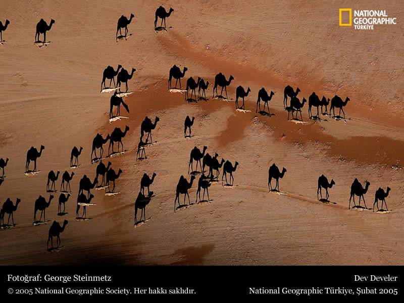 Obrázek NationalGeographic