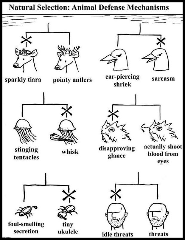 Obrázek NaturalSelection