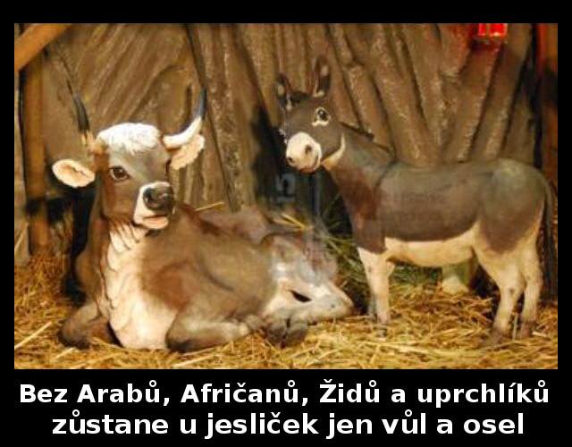 Obrázek Ne&nbsp;rasismu