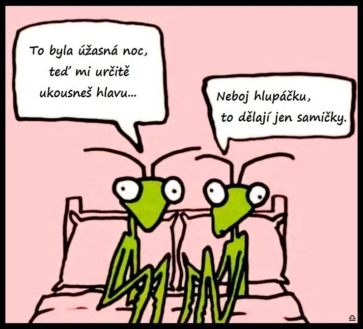 Obrázek Nekousaaaaat