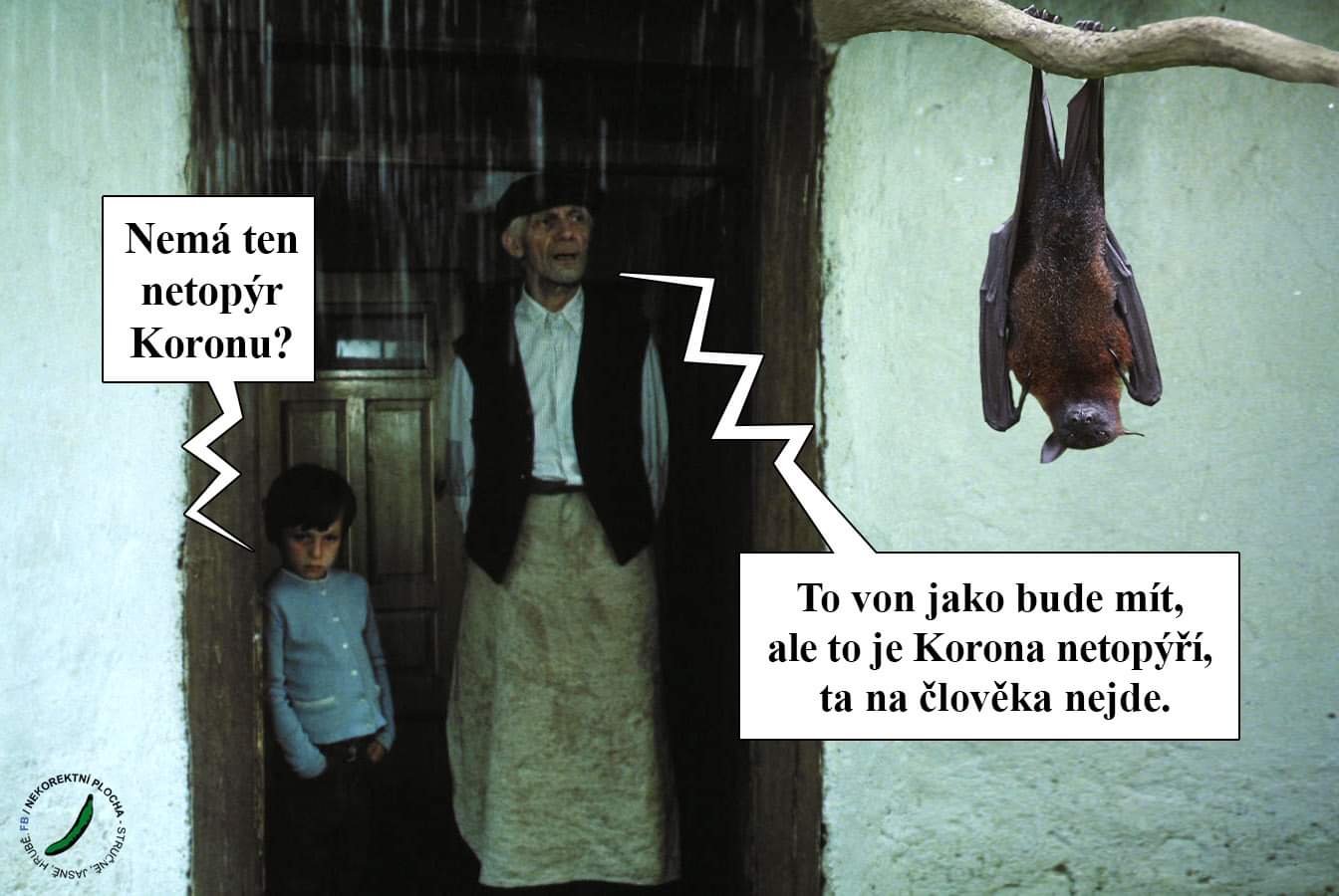 Obrázek Netopyri korona