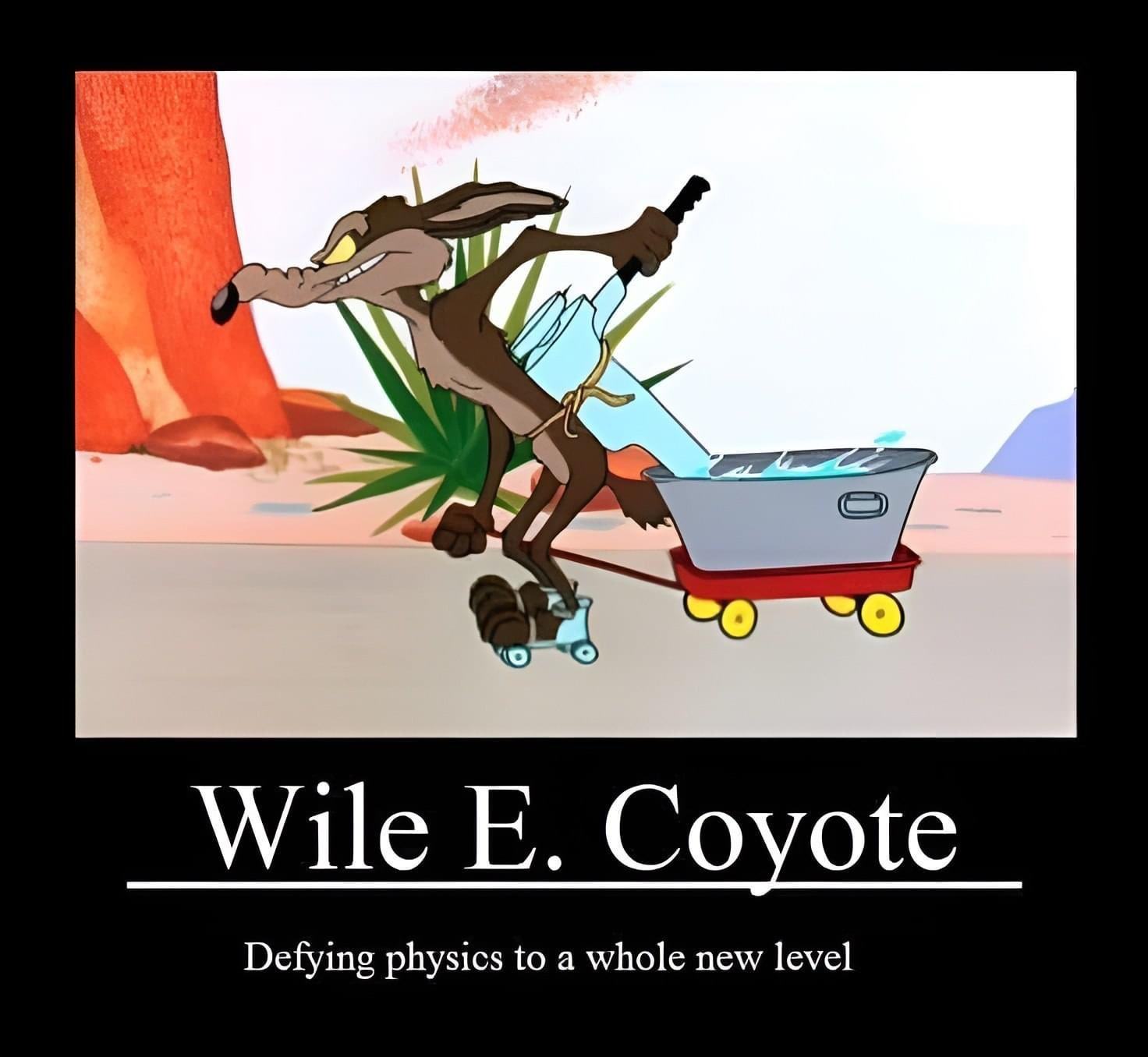 Obrázek NewPhysics