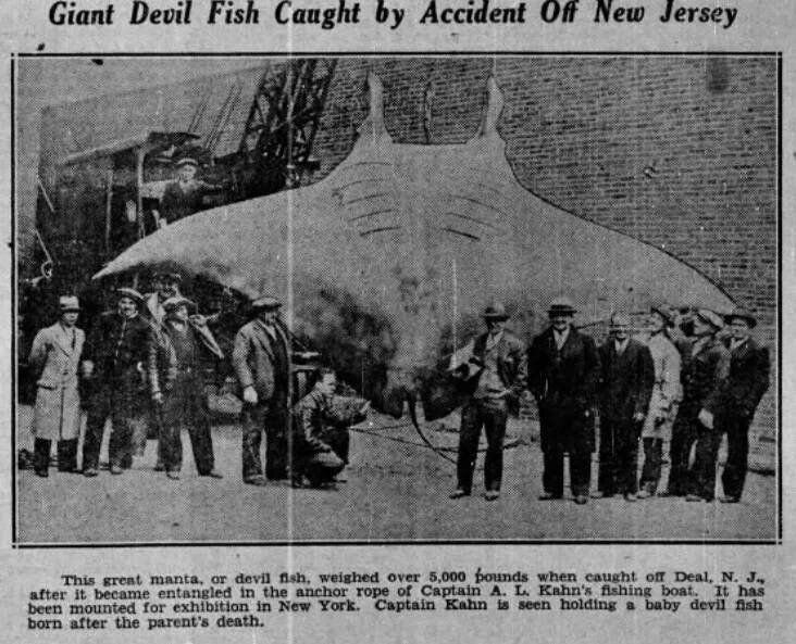 Obrázek New Jersey 1933 - 2.2 tons of fish caught on an anchor