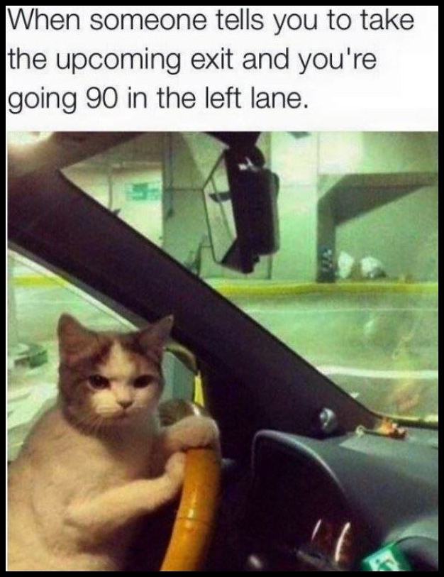 Obrázek Next&nbsp;Exit&nbsp;Pleasee