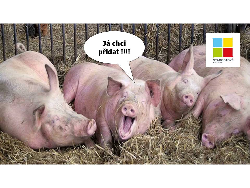 Obrázek Nic noveho