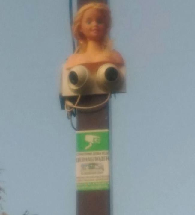 Obrázek Nice&nbsp;Lights