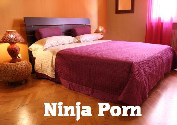 Obrázek Ninja Porn