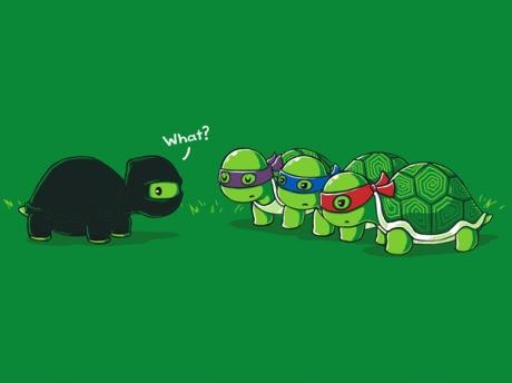 Obrázek Ninja Turtle - 21-04-2012