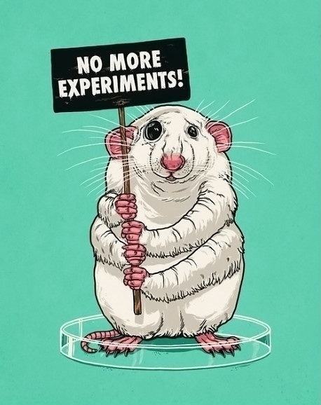Obrázek No-more-experiments-today