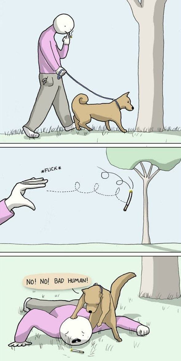 Obrázek No&nbsp;No&nbsp;Bad&nbsp;Human