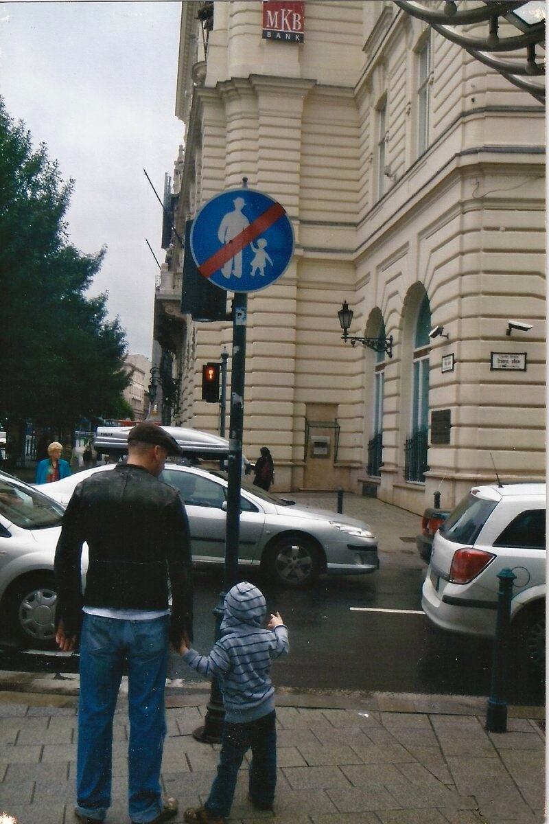 Obrázek No Parenting Sign