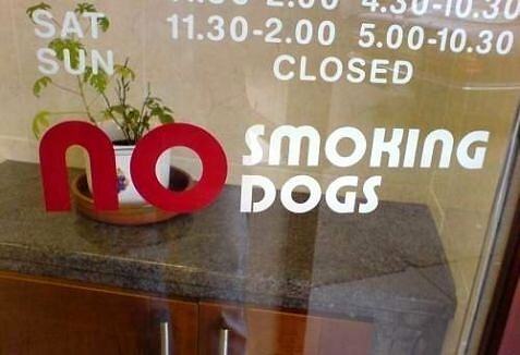 Obrázek No Smoking Dogs
