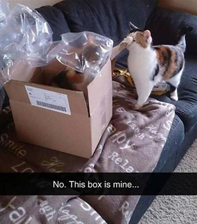 Obrázek No This Box Is Mine