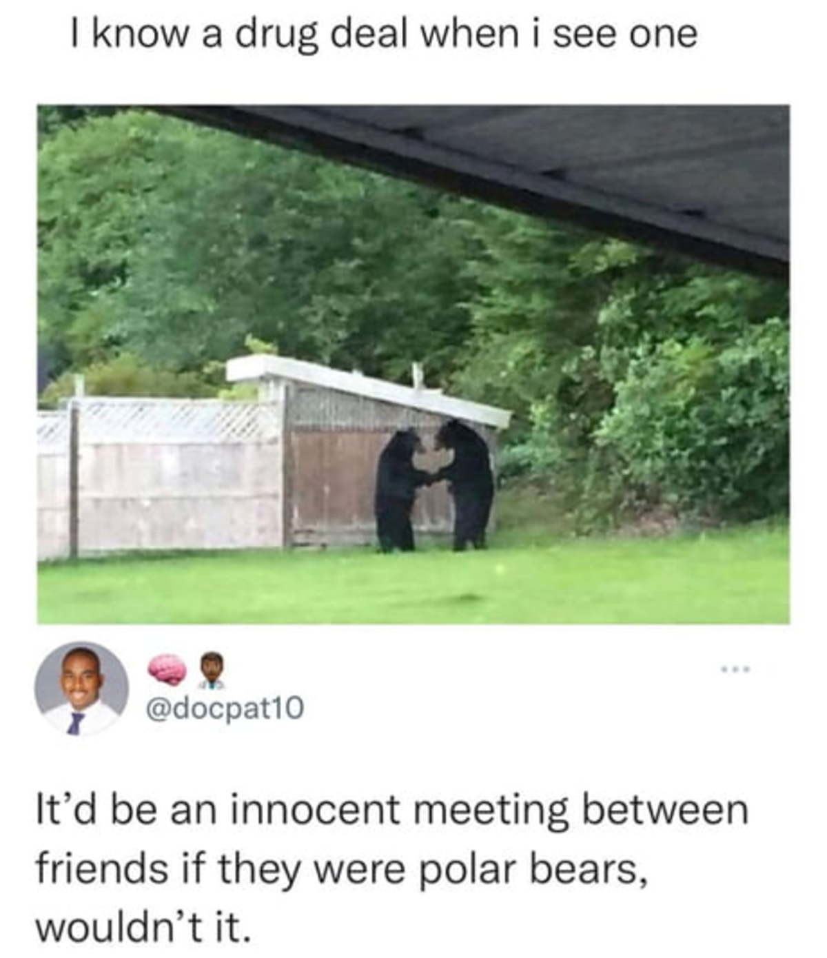 Obrázek No racism here