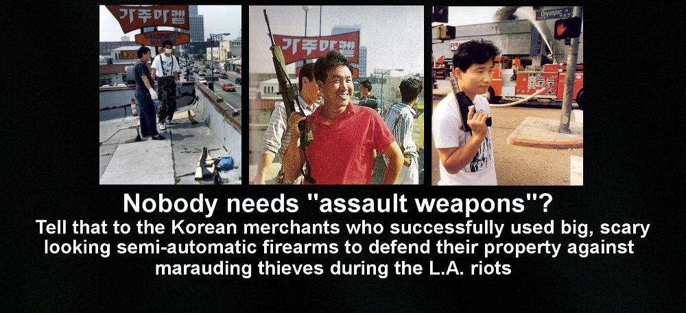 Obrázek Nobody&nbsp;needs&nbsp;assault&nbsp;weapons