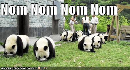 Obrázek NomNomNom
