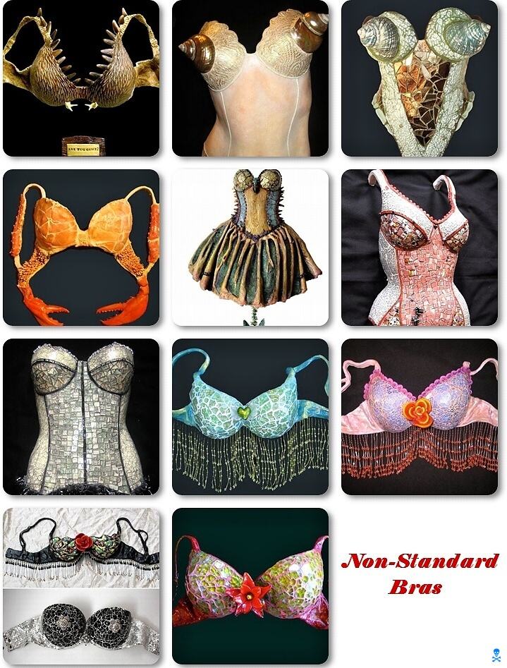 Obrázek Non-Standard Bras