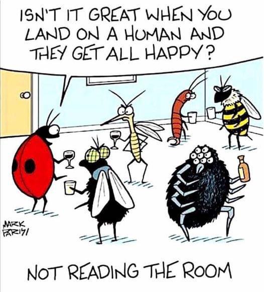 Obrázek Not Reading The Room