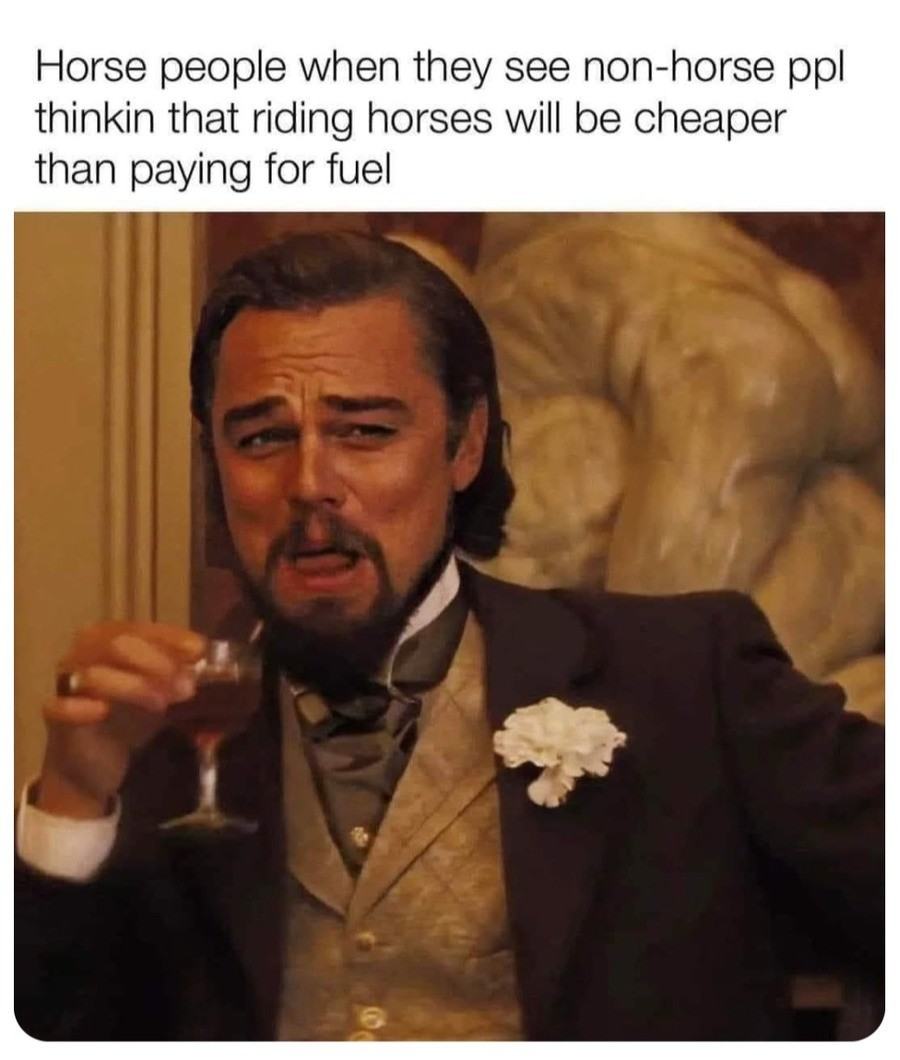 Obrázek Not a lot of horse sense