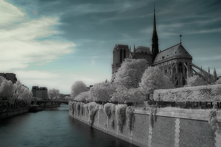 Obrázek Notre Dame de Paris
