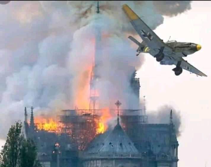 Obrázek Notre Dame real photo