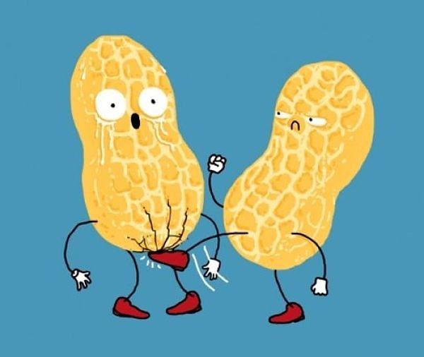 Obrázek Nuts fight 30-03-2012