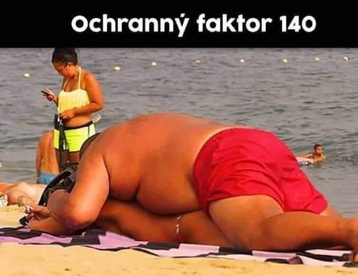 Obrázek OCHRANNY FAKTOR 140