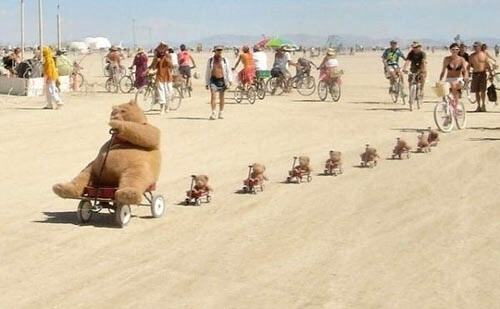 Obrázek OMG I loooooove little bears in wagons