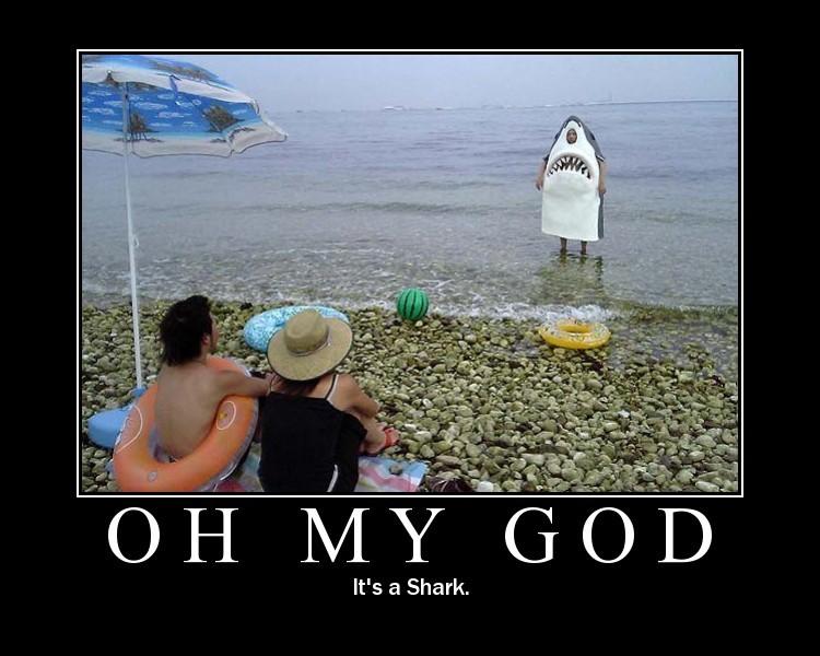 Obrázek OMG shark
