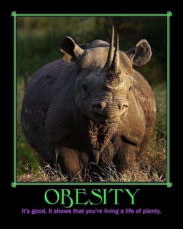 Obrázek Obesity 19-03-2012