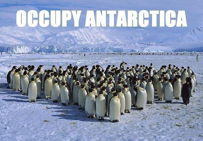 Obrázek Occupy antartica