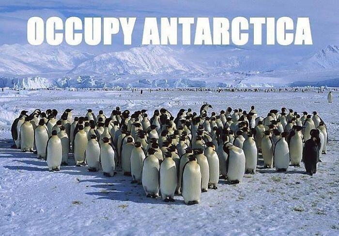 Obrázek Occupy antartica