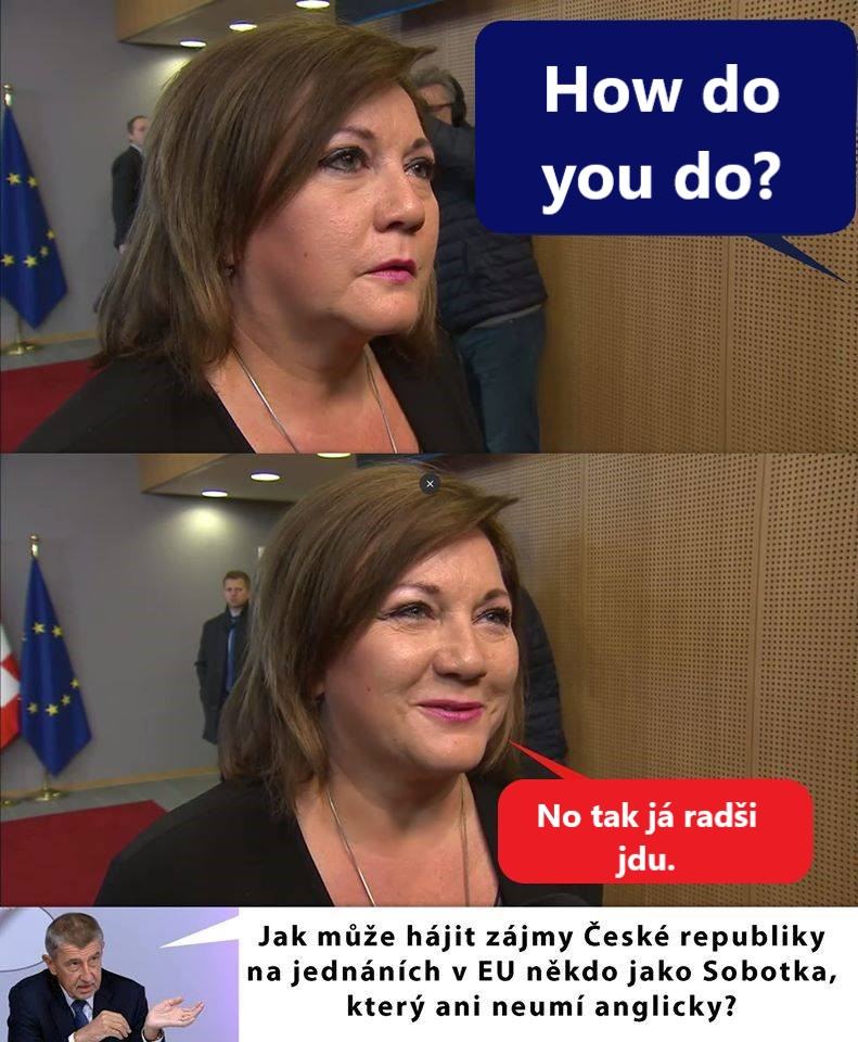 Obrázek Odbornice na aj z ANO